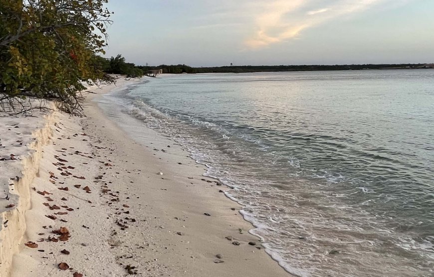 Excursión Bahía de las Águilas 2 días