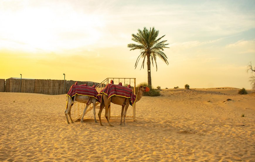Turquía & Dubái 13 Días con Aéreo desde el JFK Fin de Año