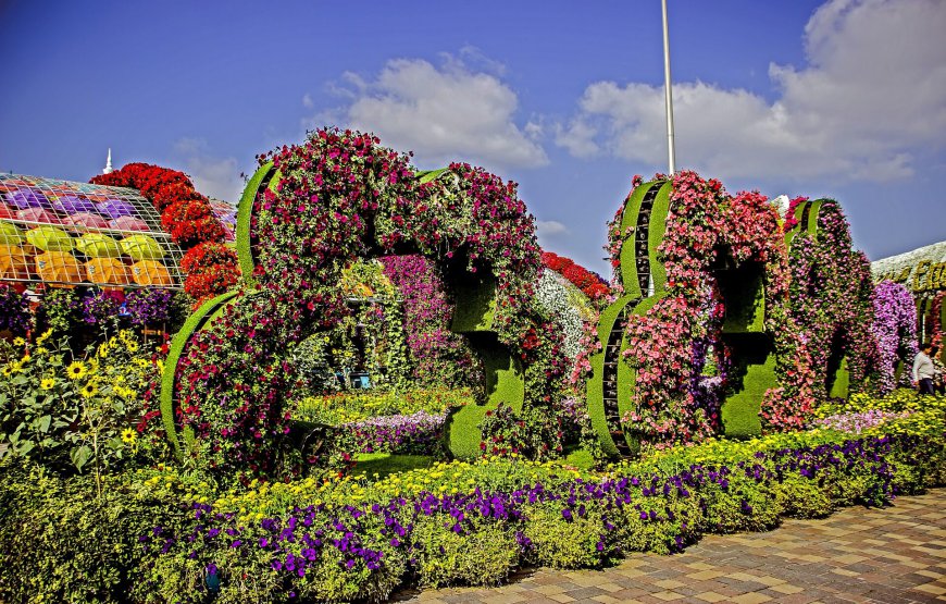 Turquía & Dubái 13 Días con Aéreo desde el JFK Fin de Año