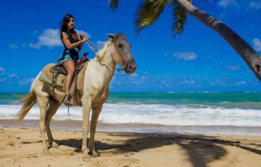 Excursión Montaña Redonda desde Santo Domingo